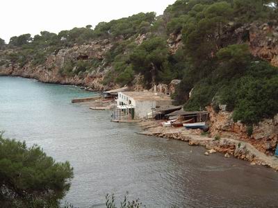 DSCF0008.JPG